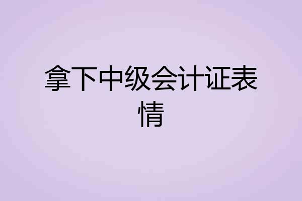拿下中级会计证表情