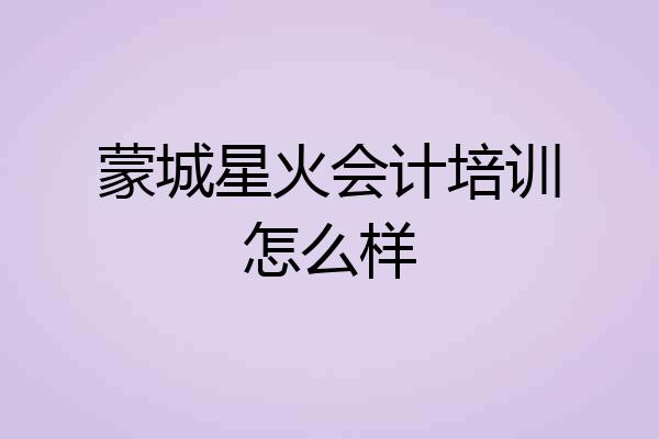蒙城星火会计培训怎么样