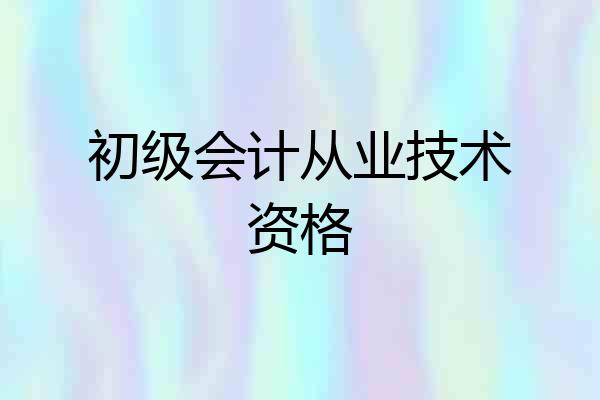 初级会计从业技术资格