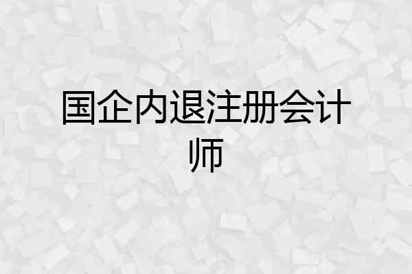 国企内退注册会计师