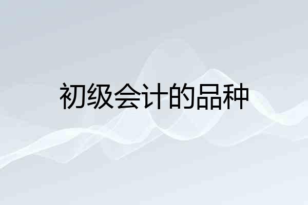 初级会计的品种