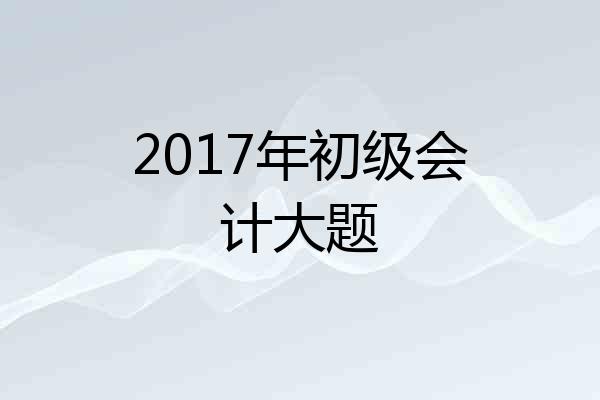 2017年初级会计大题