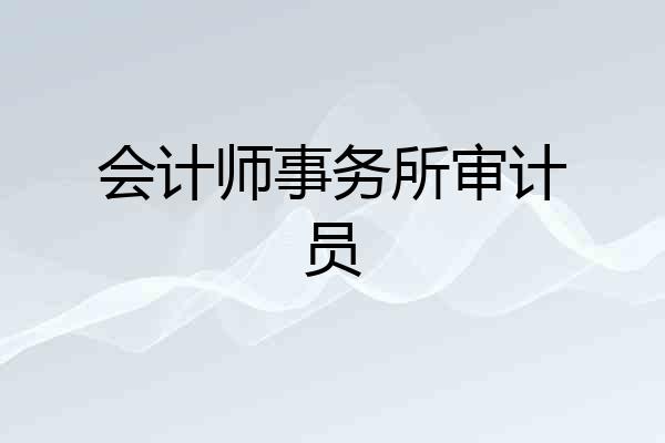 会计师事务所审计员