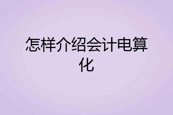 怎样介绍会计电算化