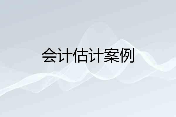 会计估计案例