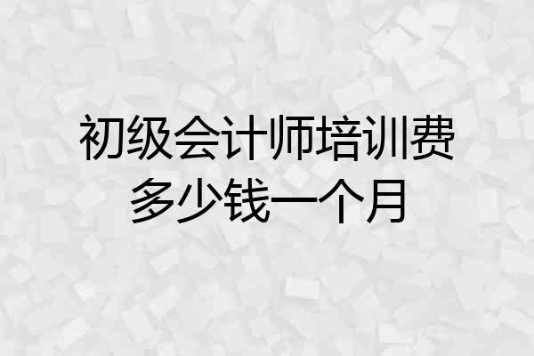 初级会计师培训费多少钱一个月