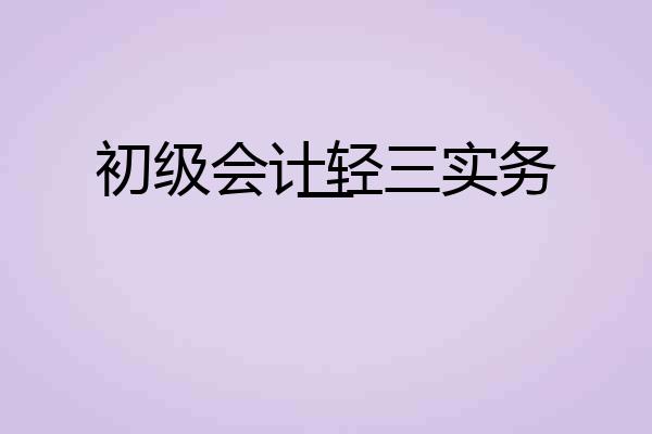 初级会计轻三实务一