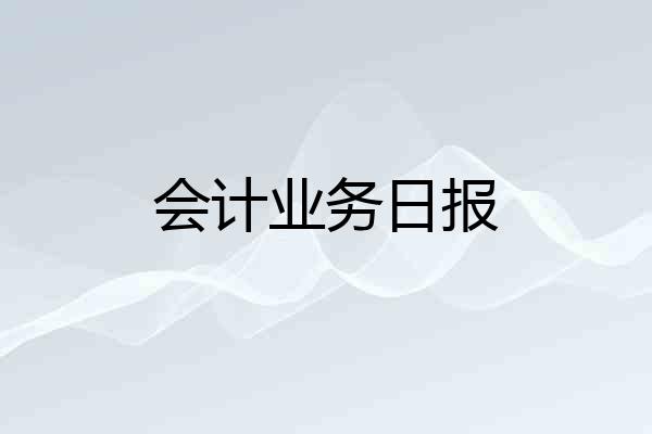 会计业务日报