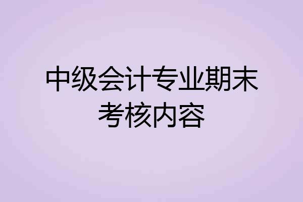 中级会计专业期末考核内容