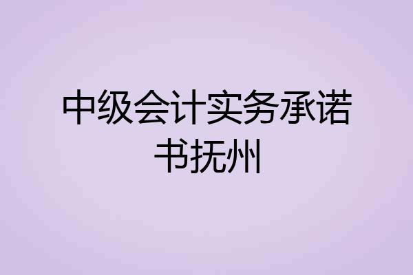 中级会计实务承诺书抚州