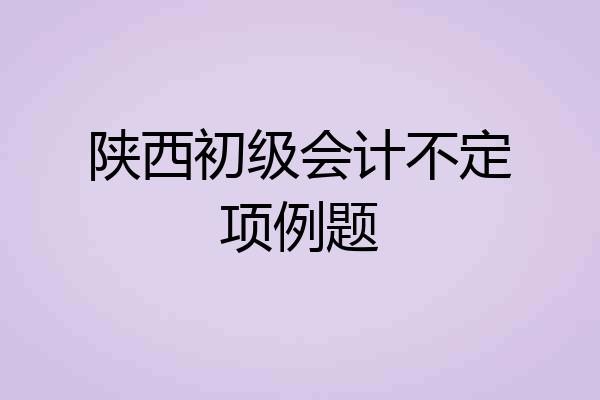 陕西初级会计不定项例题