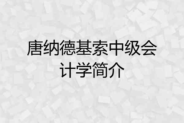 唐纳德基索中级会计学简介