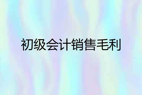 初级会计销售毛利