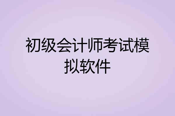 初级会计师考试模拟软件