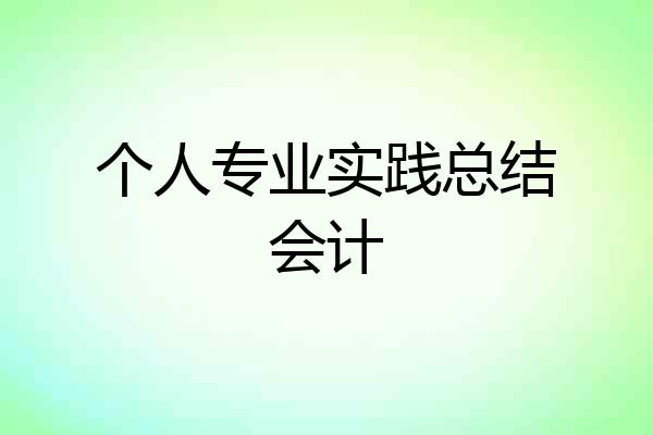 个人专业实践总结会计