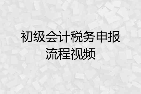 初级会计税务申报流程视频