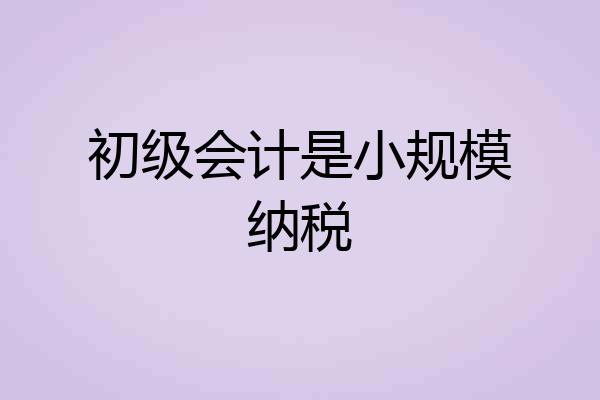 初级会计是小规模纳税