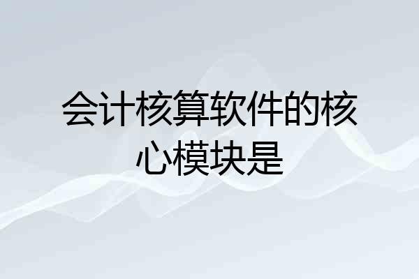 会计核算软件的核心模块是
