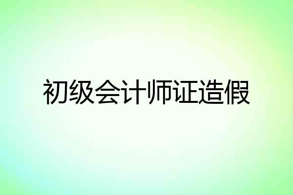 初级会计师证造假