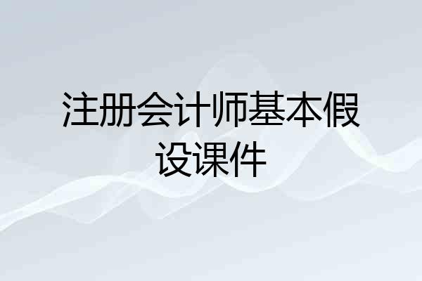 注册会计师基本假设课件