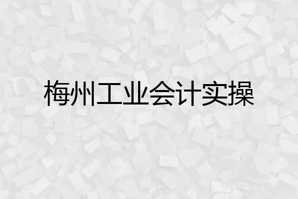 梅州工业会计实操