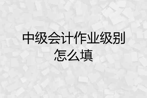 中级会计作业级别怎么填