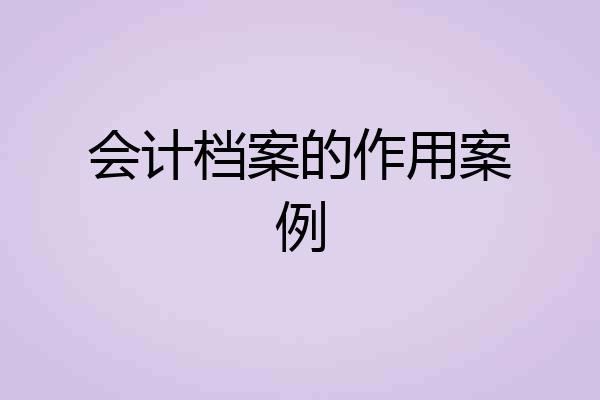 会计档案的作用案例