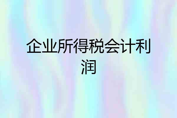 企业所得税会计利润