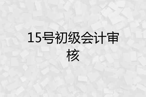 15号初级会计审核