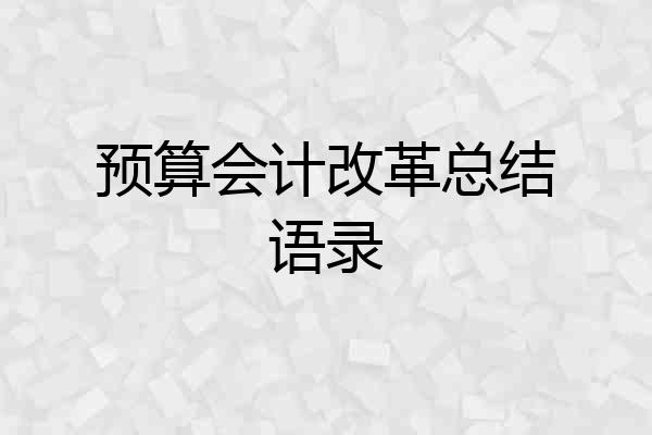 预算会计改革总结语录