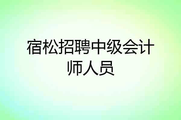 宿松招聘中级会计师人员
