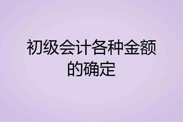 初级会计各种金额的确定