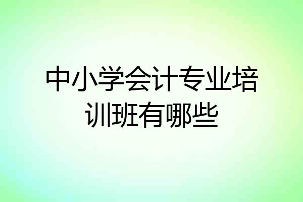 中小学会计专业培训班有哪些