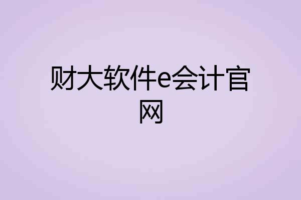 财大软件e会计官网