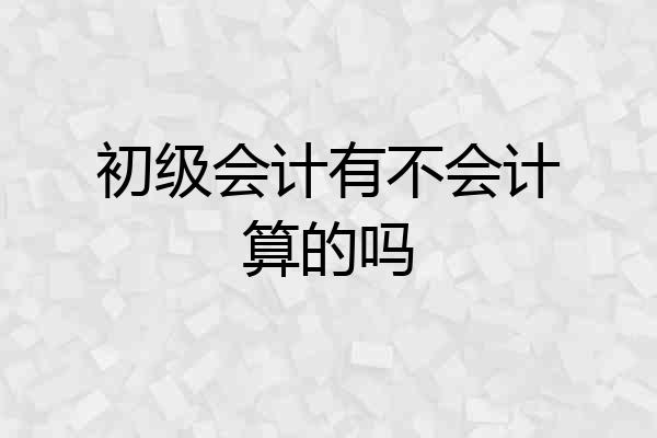 初级会计有不会计算的吗