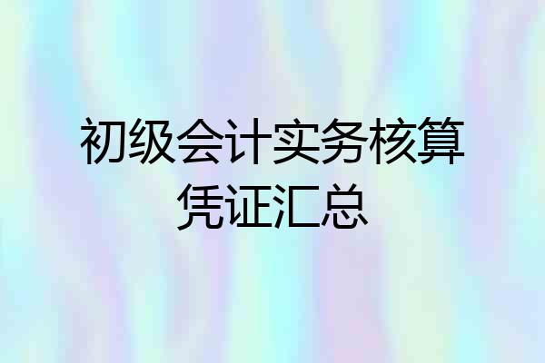 初级会计实务核算凭证汇总