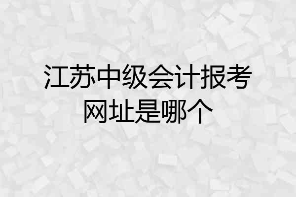 江苏中级会计报考网址是哪个