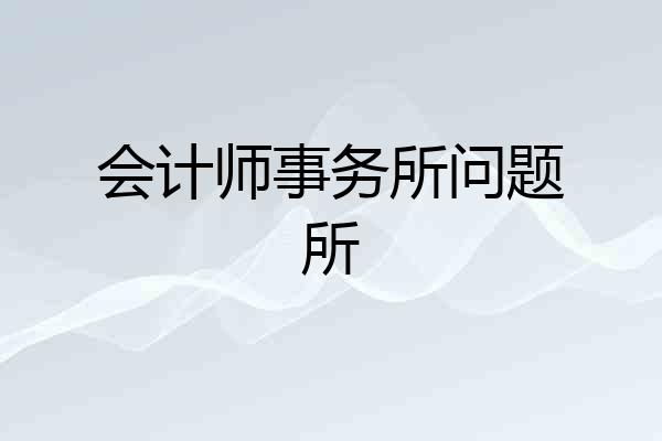 会计师事务所问题所