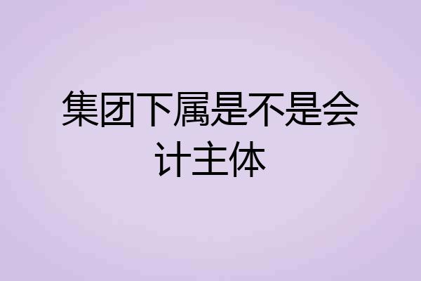 集团下属是不是会计主体