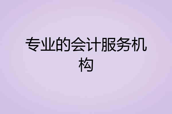 专业的会计服务机构