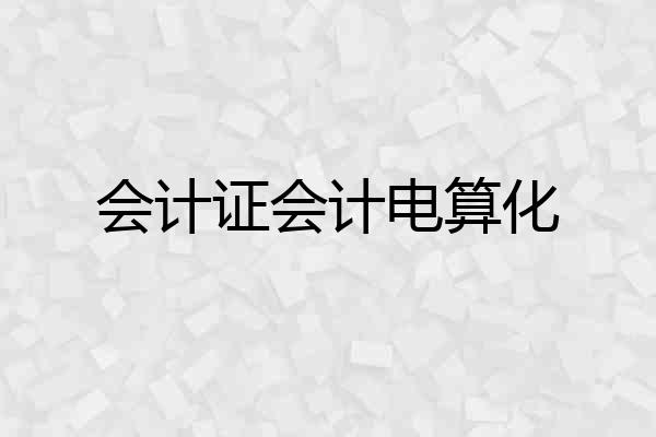 会计证会计电算化