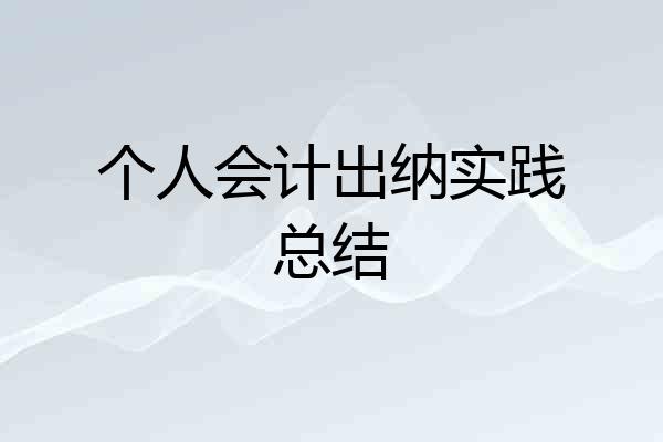 个人会计出纳实践总结