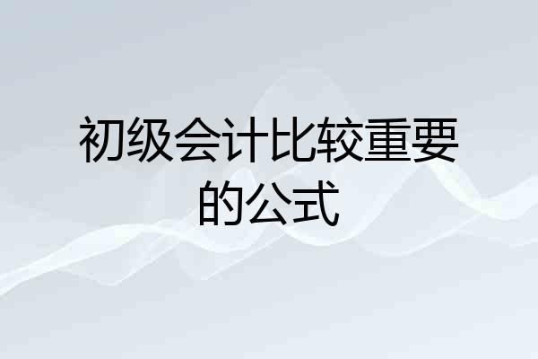 初级会计比较重要的公式