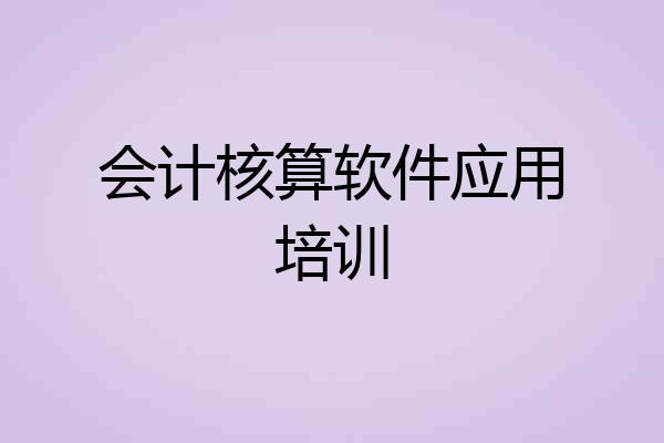 会计核算软件应用培训
