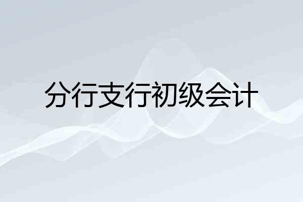 分行支行初级会计