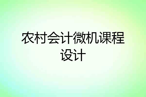农村会计微机课程设计