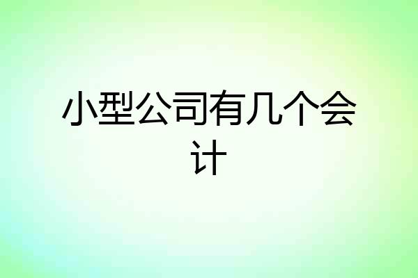 小型公司有几个会计