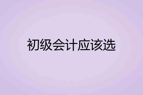 初级会计应该选