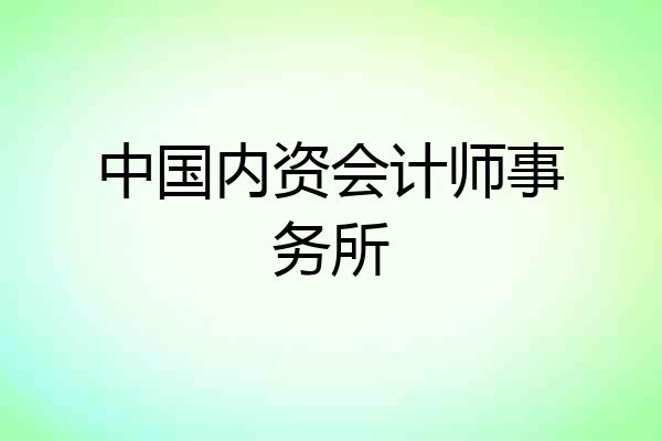 中国内资会计师事务所