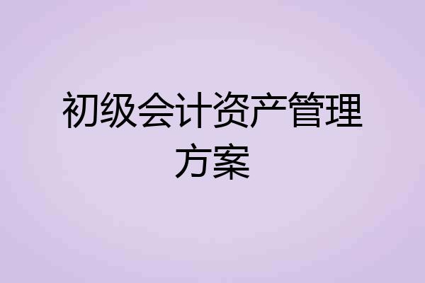 初级会计资产管理方案